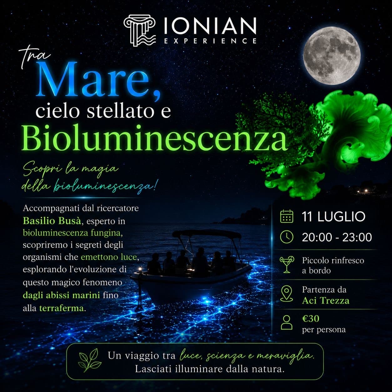 Between the Sea, a Starry Sky and Bioluminescence